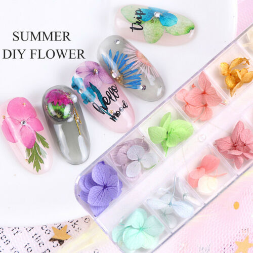 Real Dried Flowers 3d Nail Art Decor Design Diy Tips Manicure 12 Colors Fashion