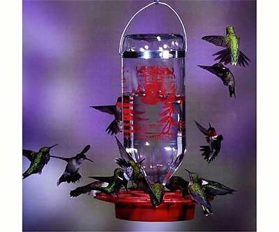 Best-1 Hummingbird Feeder With 32 Oz. Glass Bottle, Made In The Usa          #dm