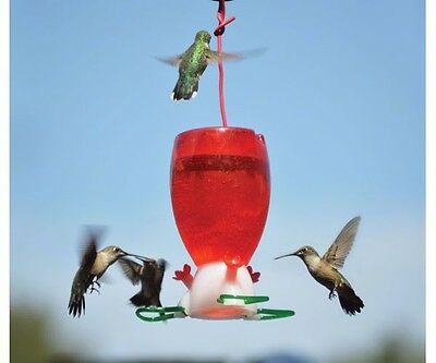 Songbird Essentials Big Red 10 Oz. Hummingbird Feeder, #se952, Free Usa Ship *dm